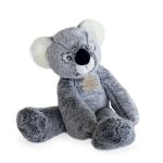 doudou koala