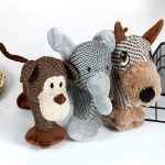 doudou pour chien