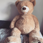 nounours geant
