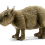 peluche capybara