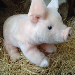 peluche cochon
