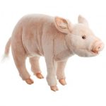 peluche cochon