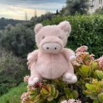 peluche cochon