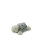 peluche tortue